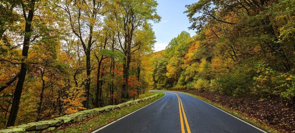 images/news/2016/pexels-photo-237018